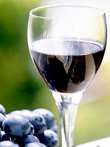 Технология продуктов брожения и виноделия